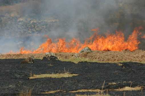 Fire in the Glen of Imaal